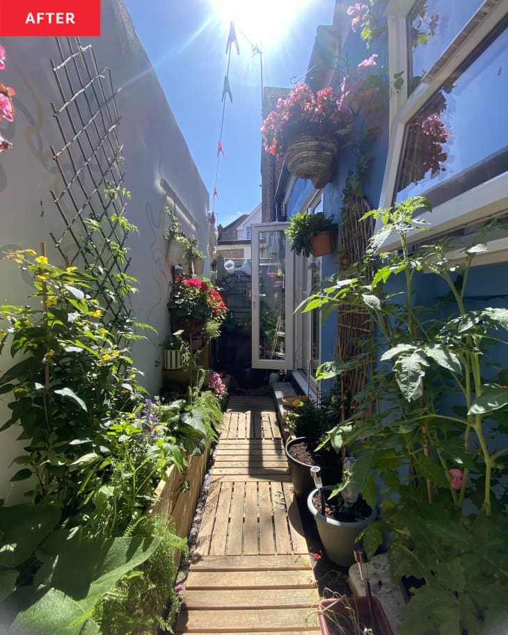 A Bleak Yard Space Becomes a Beautiful Outdoor Oasis for $578 | Apartment  Therapy