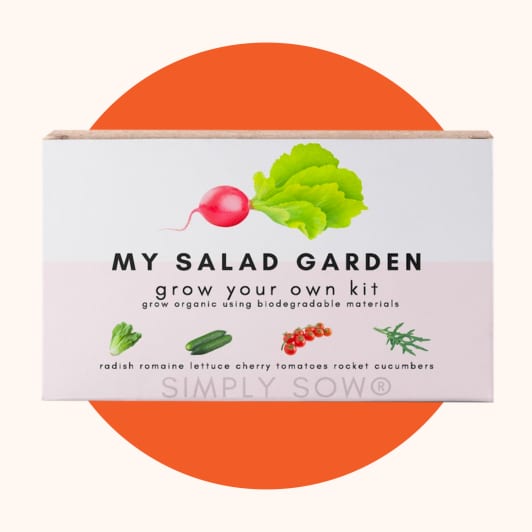 grow your own salad kit