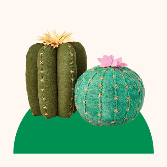 cactus pillow