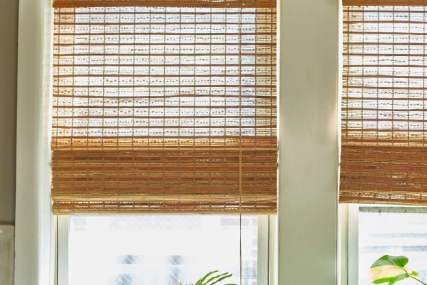 How to Choose the Best Plants for Your Kitchen, According to Horticulturists