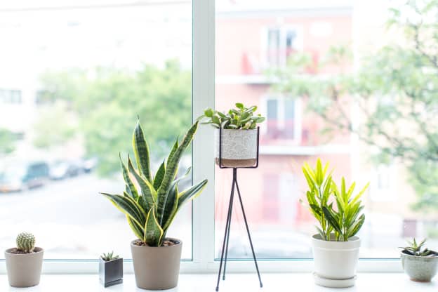 15 of Our Favorite Places to Buy Planters