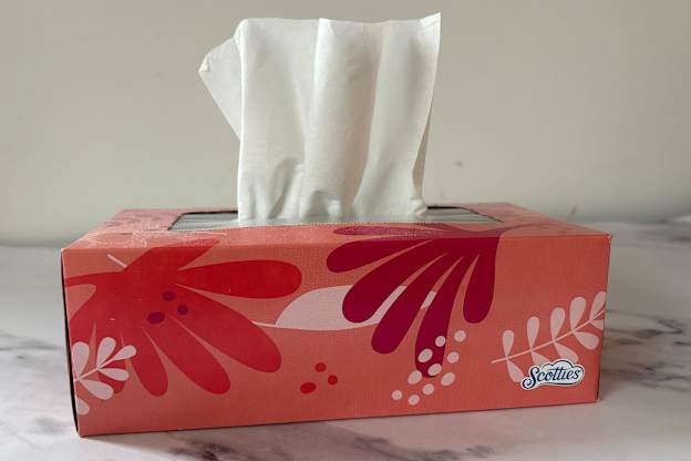 My Brilliant Second Life Trick for an Empty Box of Tissues in the Kitchen