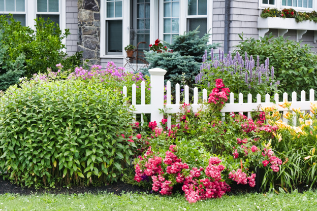 Why Real Estate Agents Swear By Planting These 3 Things in Your Front Yard
