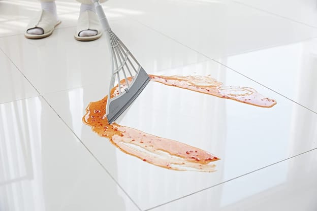 This Ridiculously Versatile $35 Tool Will Keep Your Carpets, Floors, Tiles, and Windows Spotless