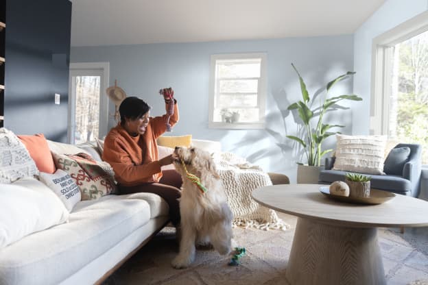 5 Must-Know Tips for Pet Proofing Your Space (Partner)