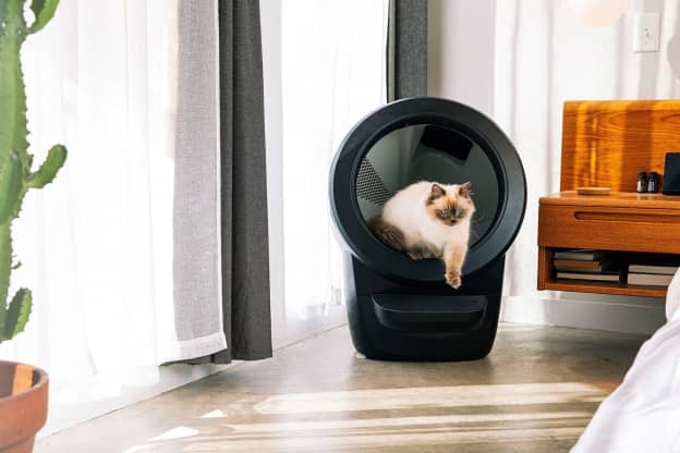 I Live with Two Cats, and the Litter-Robot's New Accessory Solved One of My Most Annoying Problems