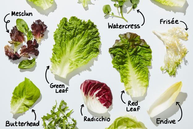 How Well Do You Know Your Salad Greens? Lettuce Show You the Way