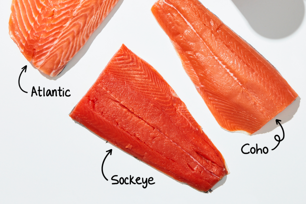 A Visual Guide to Everything You Need to Know About Salmon