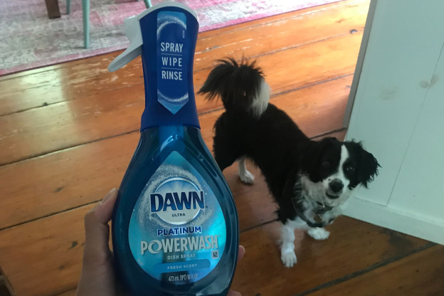 14 Surprising Ways to Use Dawn Powerwash — Beyond Cleaning the Dishes