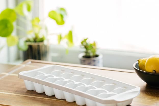 The Last Thing to Do with an Old Ice Tray Before It Hits the Donation Bag