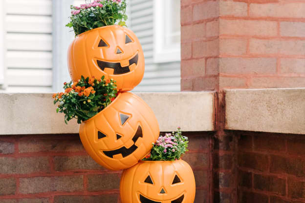 My Favorite Gluten-Free Cookie Brand Dropped a Fun-Size Version Perfect for Trick-or-Treating