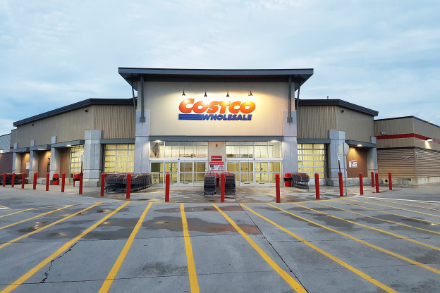 Costco's Pet Pool Even Comes with Dog Toys