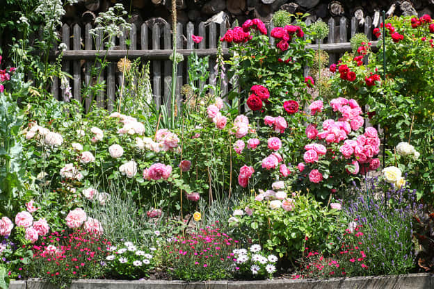 This Is the 1 Thing to Do ASAP for a Thriving Spring Garden