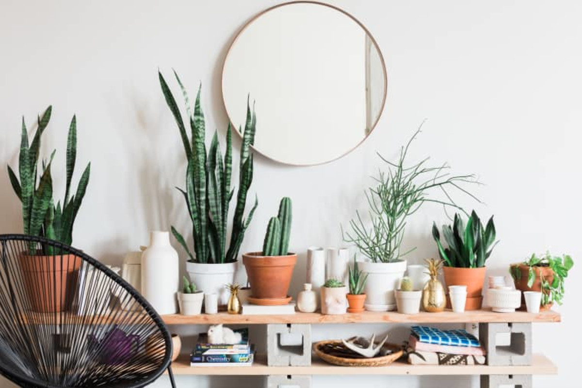 23 Mirror Decor Ideas That Reflect Your Personal Style