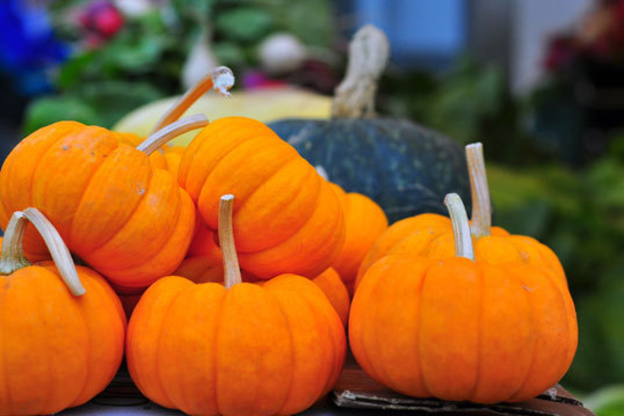 Here's What to Do with Your Mini Pumpkins from Halloween