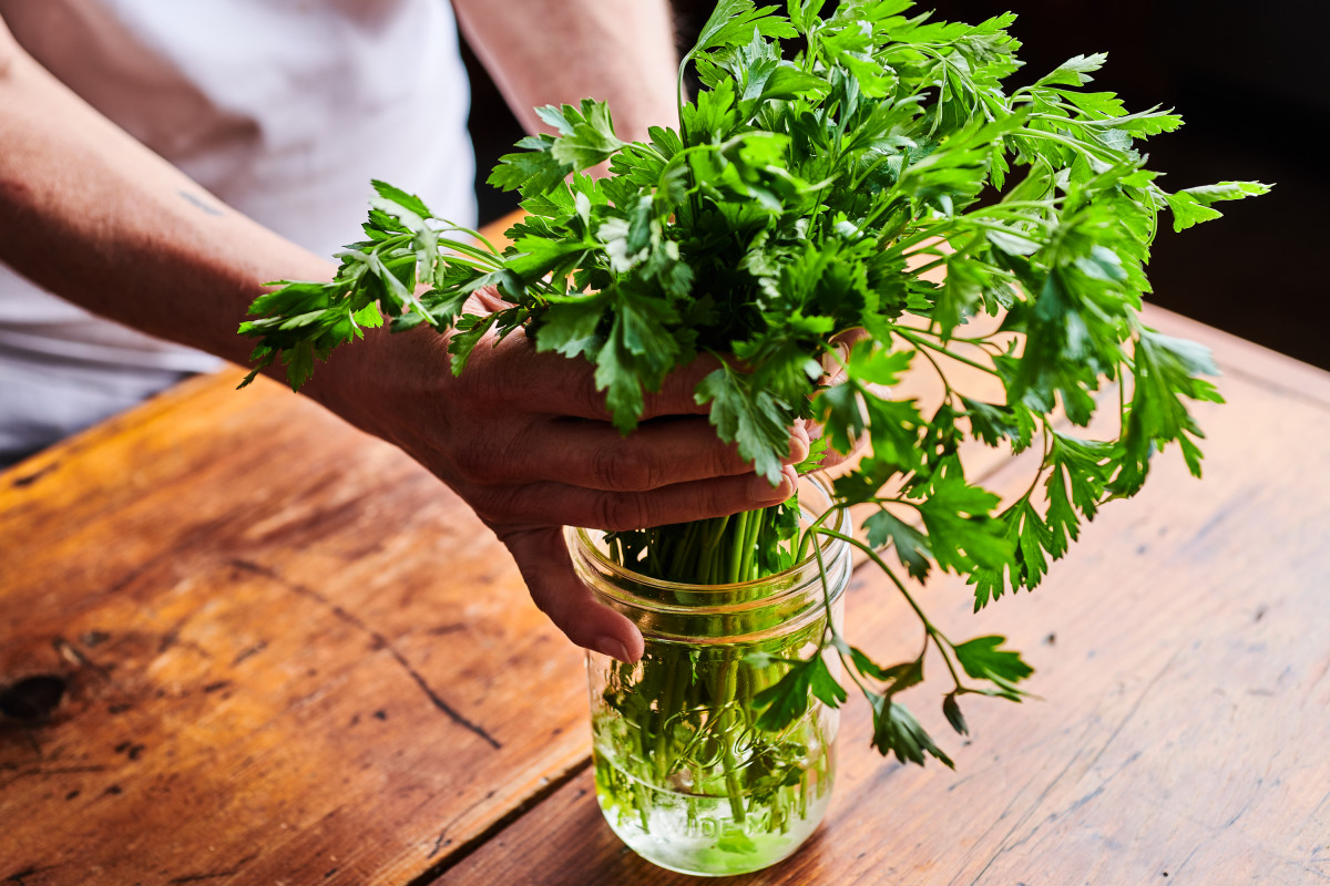 The Best Herb Keepers to Make Your Cilantro, Parsley, and Thyme Last Longer