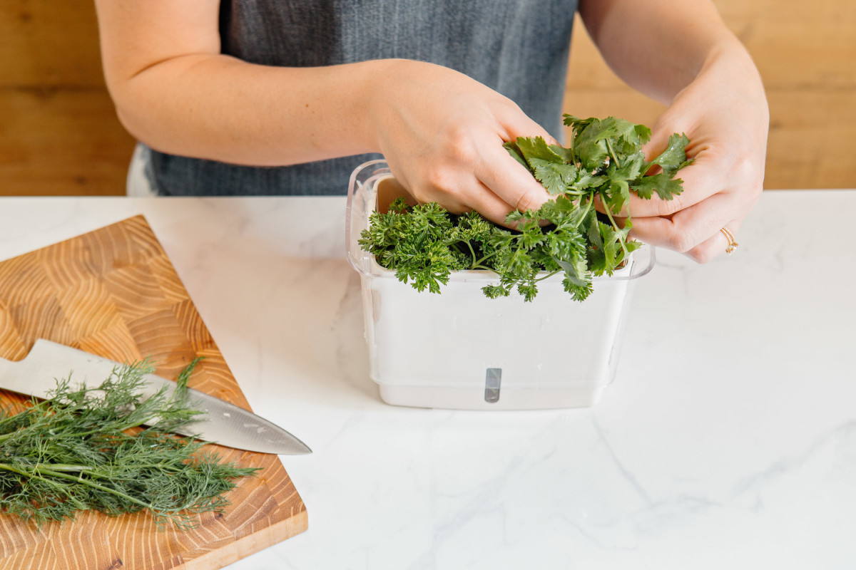 Amazon Reviewers Love These Indoor Herb Growing Kits