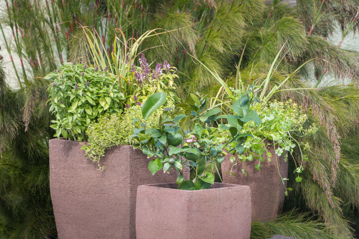4 Container Garden Tips That’ll Boost Your Curb Appeal for Spring