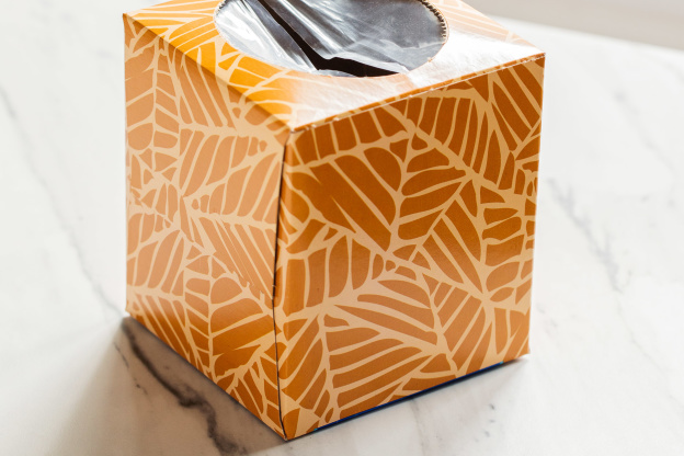 The Last Thing You Should Do with an Empty Tissue Box Before You Recycle It