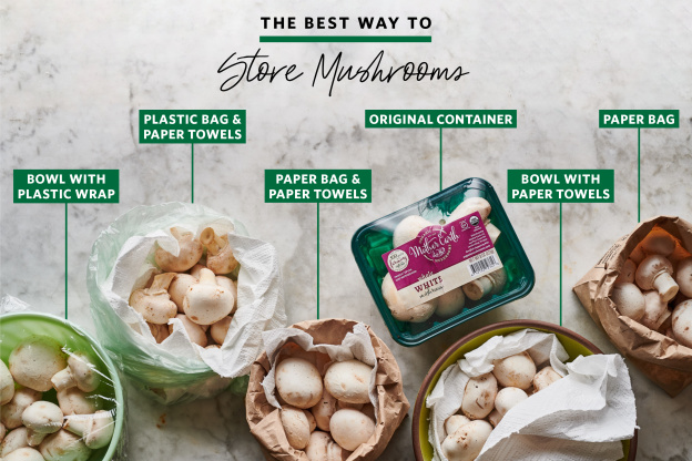 We Tested 6 Methods for Storing Mushrooms and Found a Clear Winner