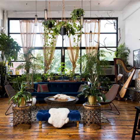 The Game-Changing Etsy Accessory That'll Help City Plants Thrive in Low-Light Apartments