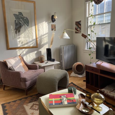 This Small Chicago Apartment Sports Distinct Vibes for Sleeping, Relaxing, and Working