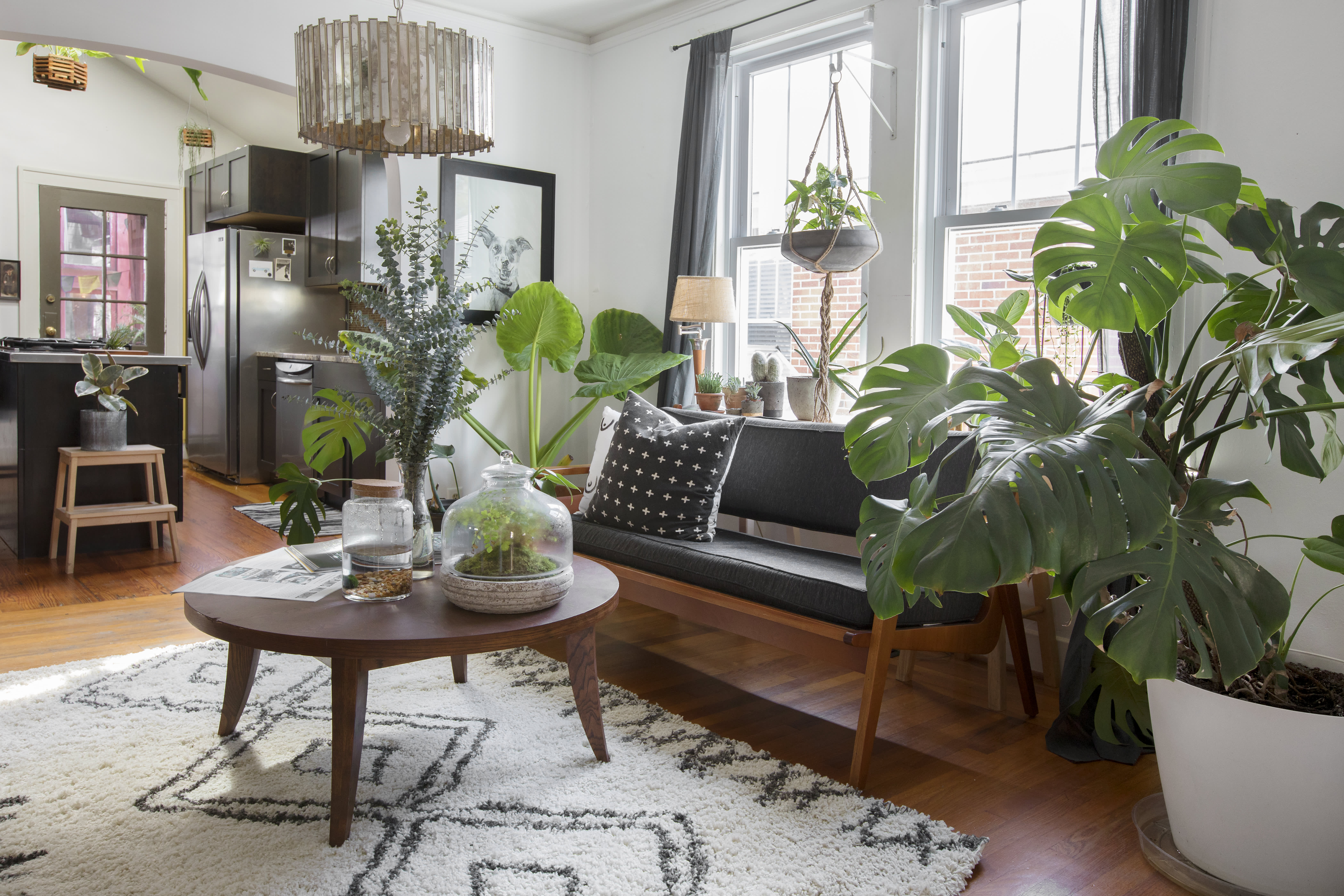 modern jane: An Inspired Green Door.