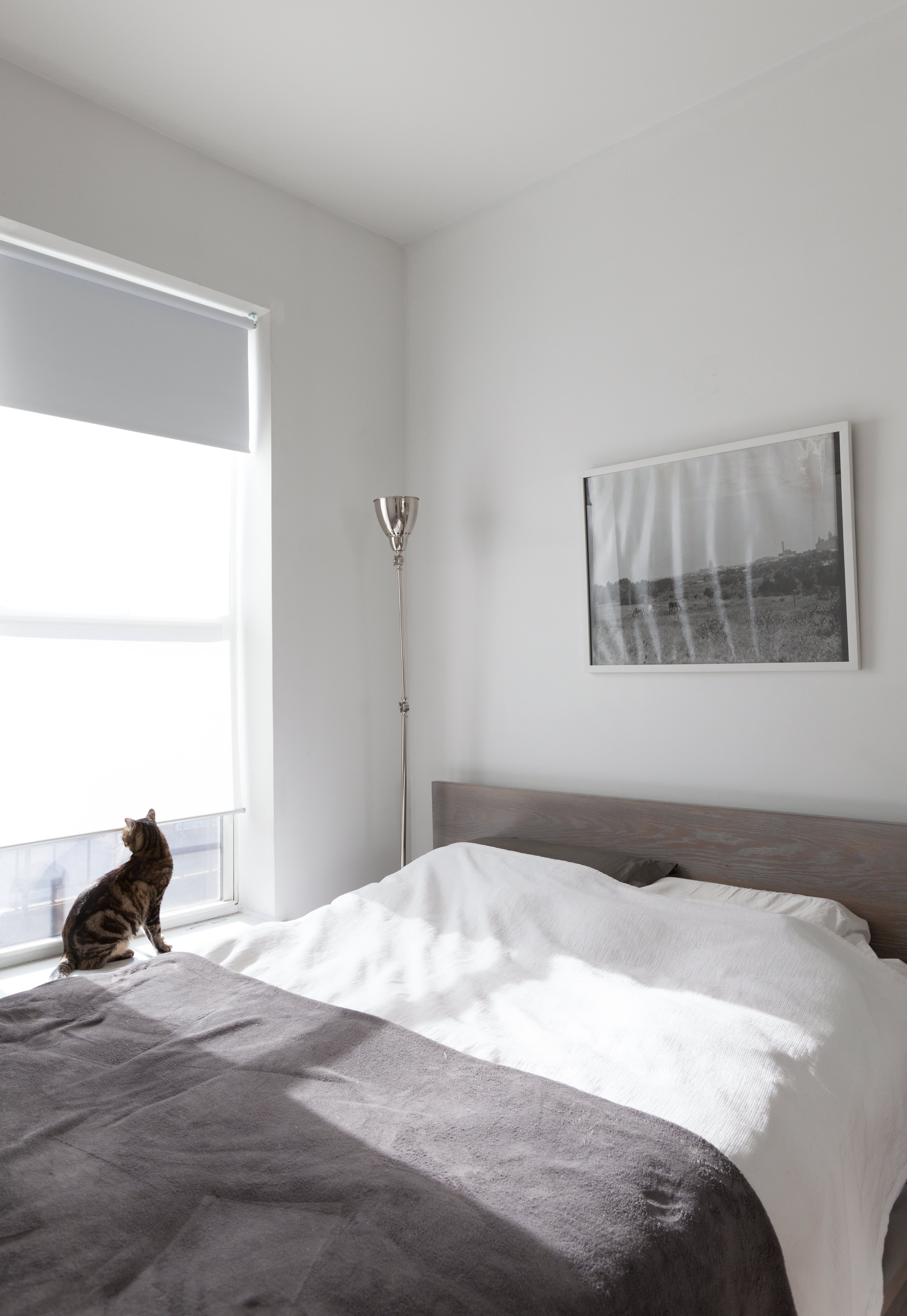 Modern Black And White Bedroom Inspo