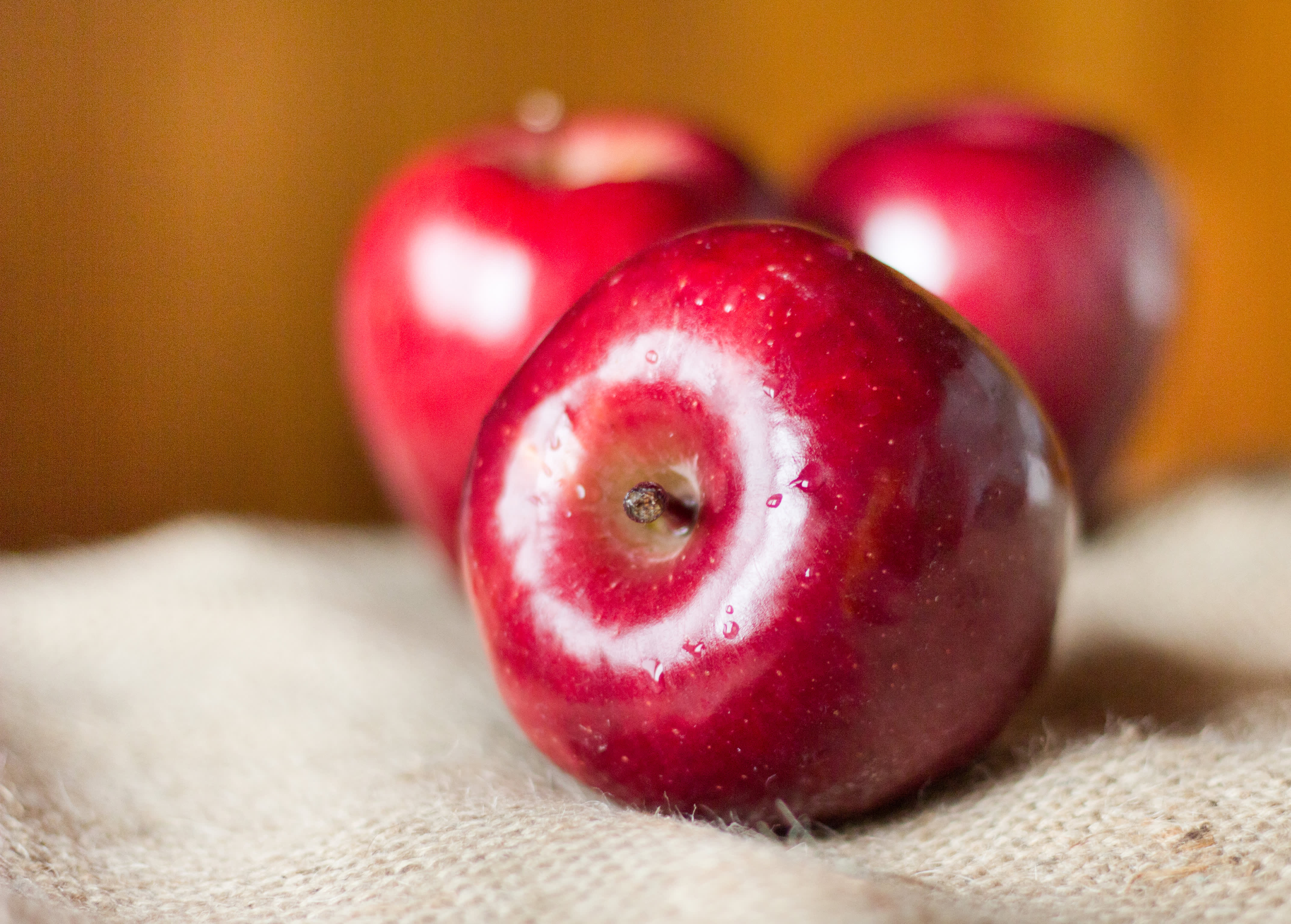 The Red Delicious Apples – What Happened?, Spotlight