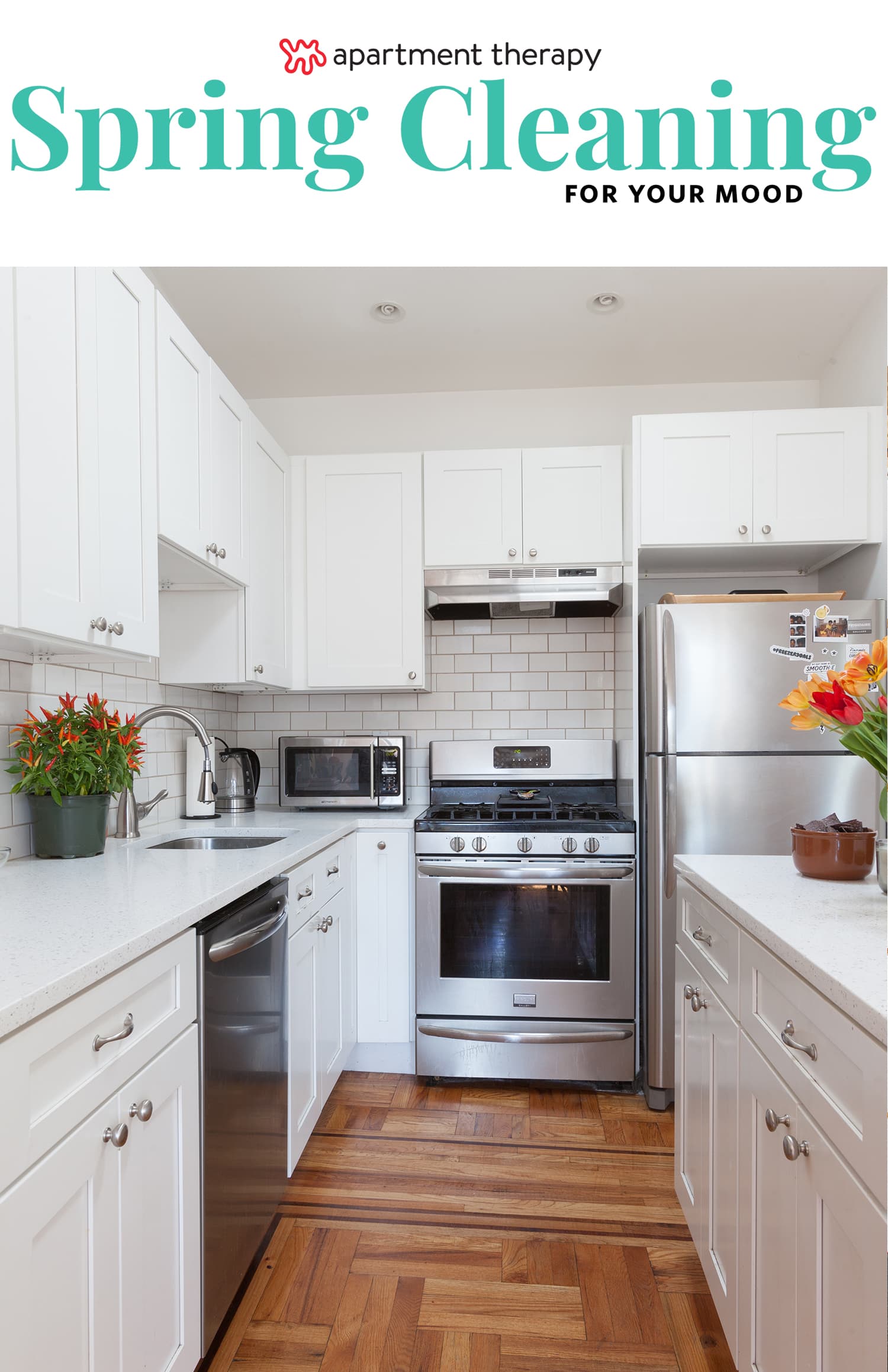 How to Care for and Maintain Your New Kitchen Appliances - NewHomeSource
