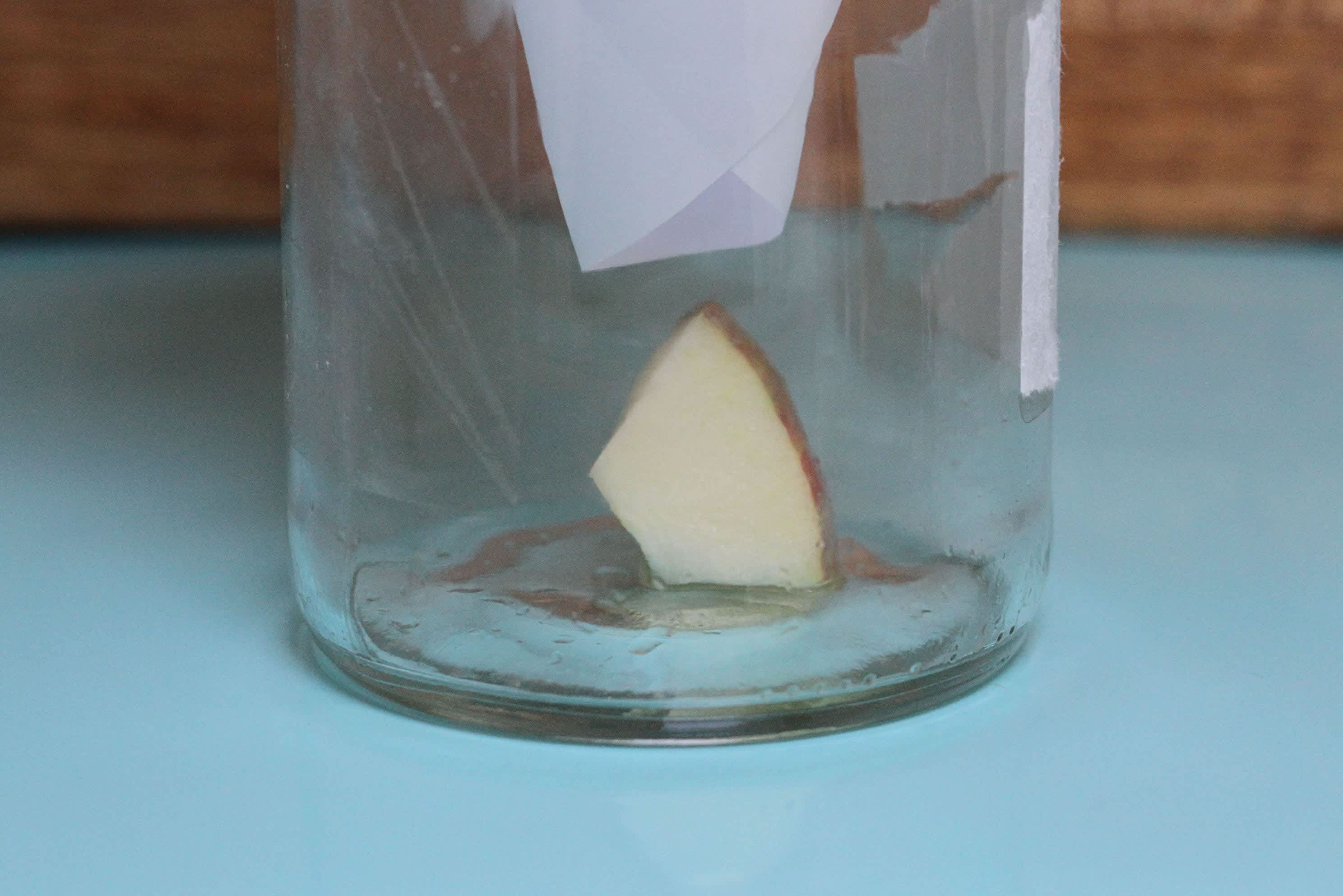 How To Make a Fruit Fly Trap (Paper Cone Hack)