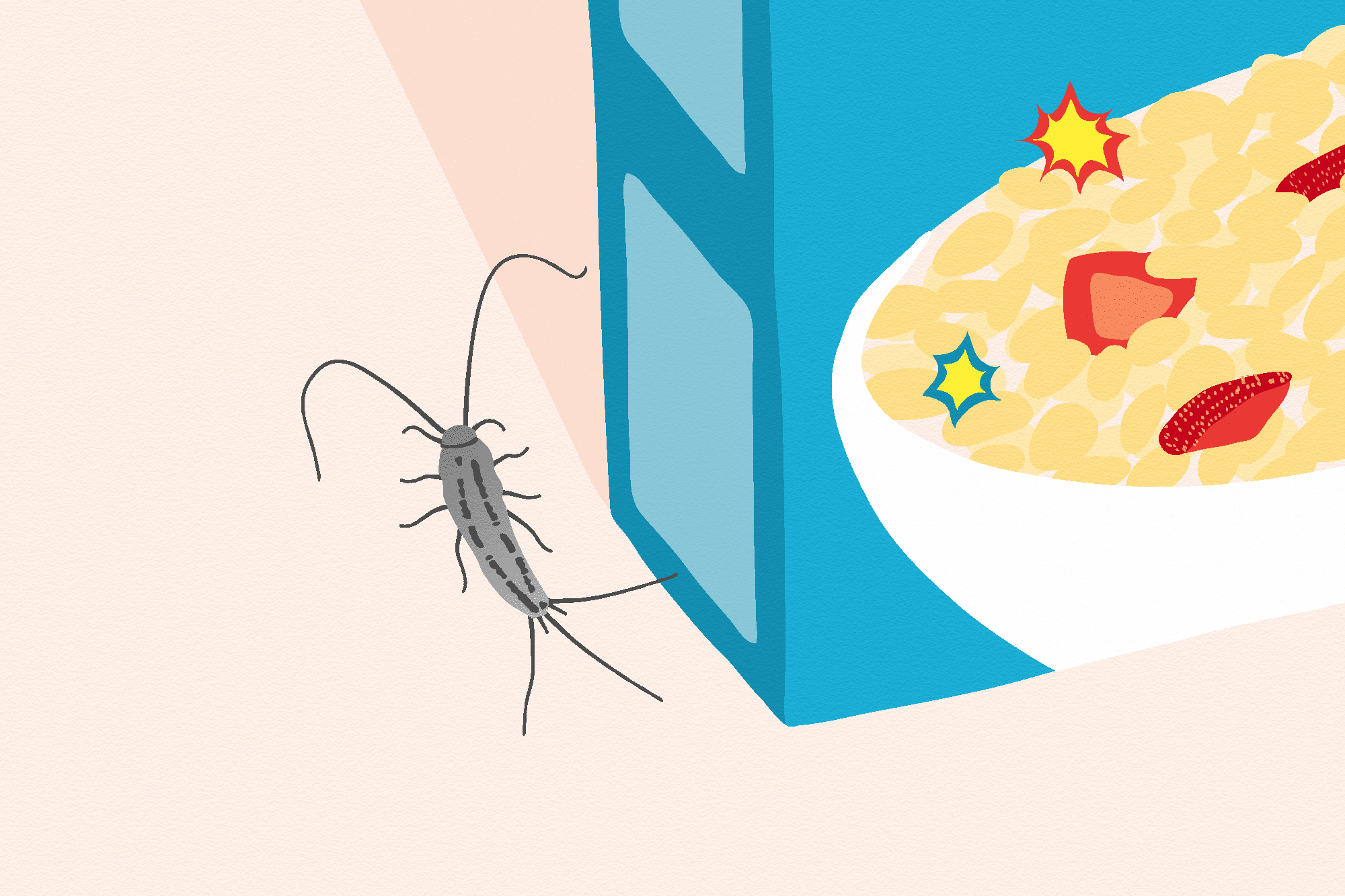 Unwelcome Dinner Guests: How to Get Rid of Pantry Bugs for Good