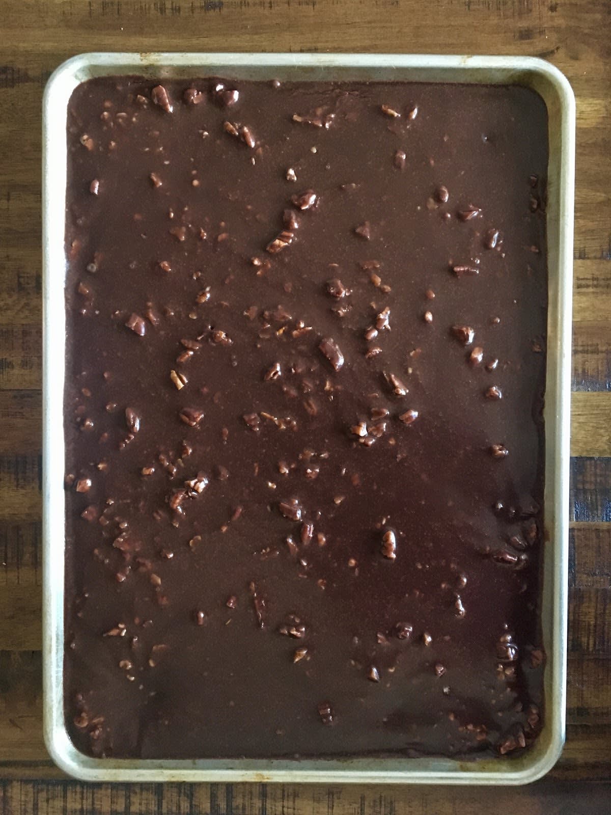 The Pioneer Woman's Chocolate Sheet Cake Recipe: The Best Texas Sheet Cake  Recipe Ever, Cakes/Cupcakes