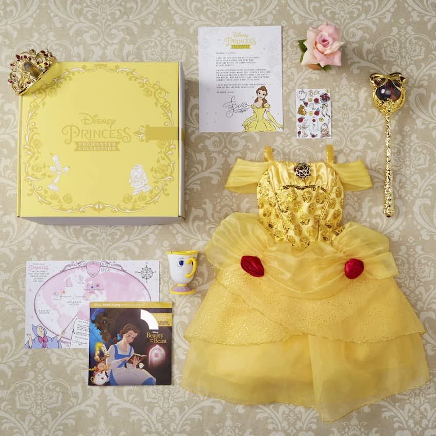 Disney Launched Their First-Ever Princess Subscription Boxes | Apartment  Therapy