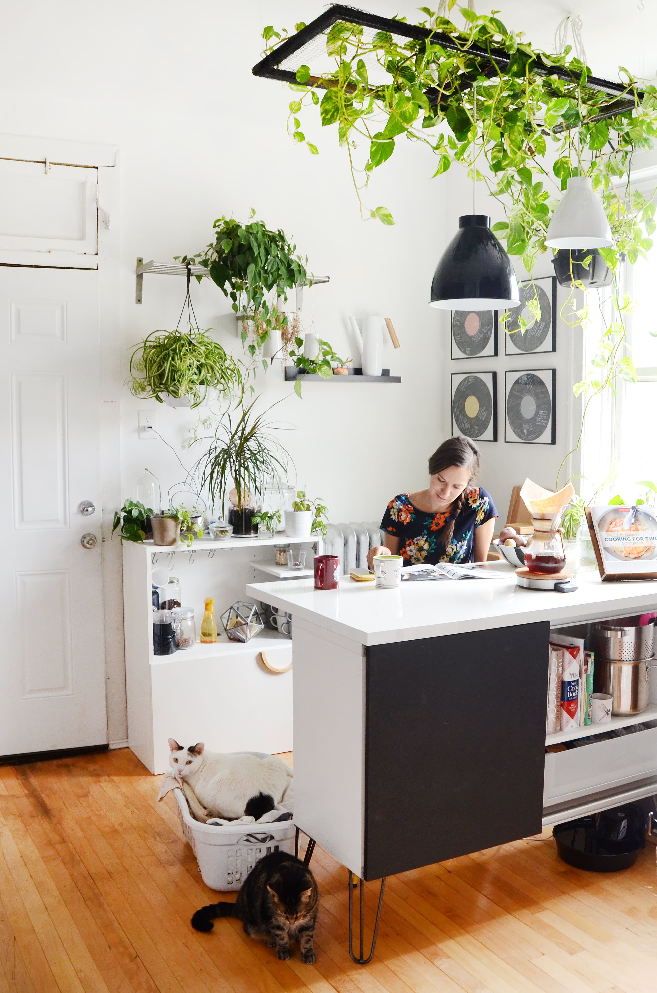 apartment therapy kitchen lighting