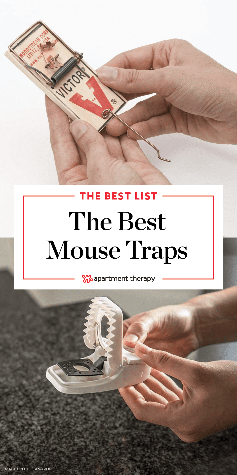 Which mousetrap is best for your home or apartment? 