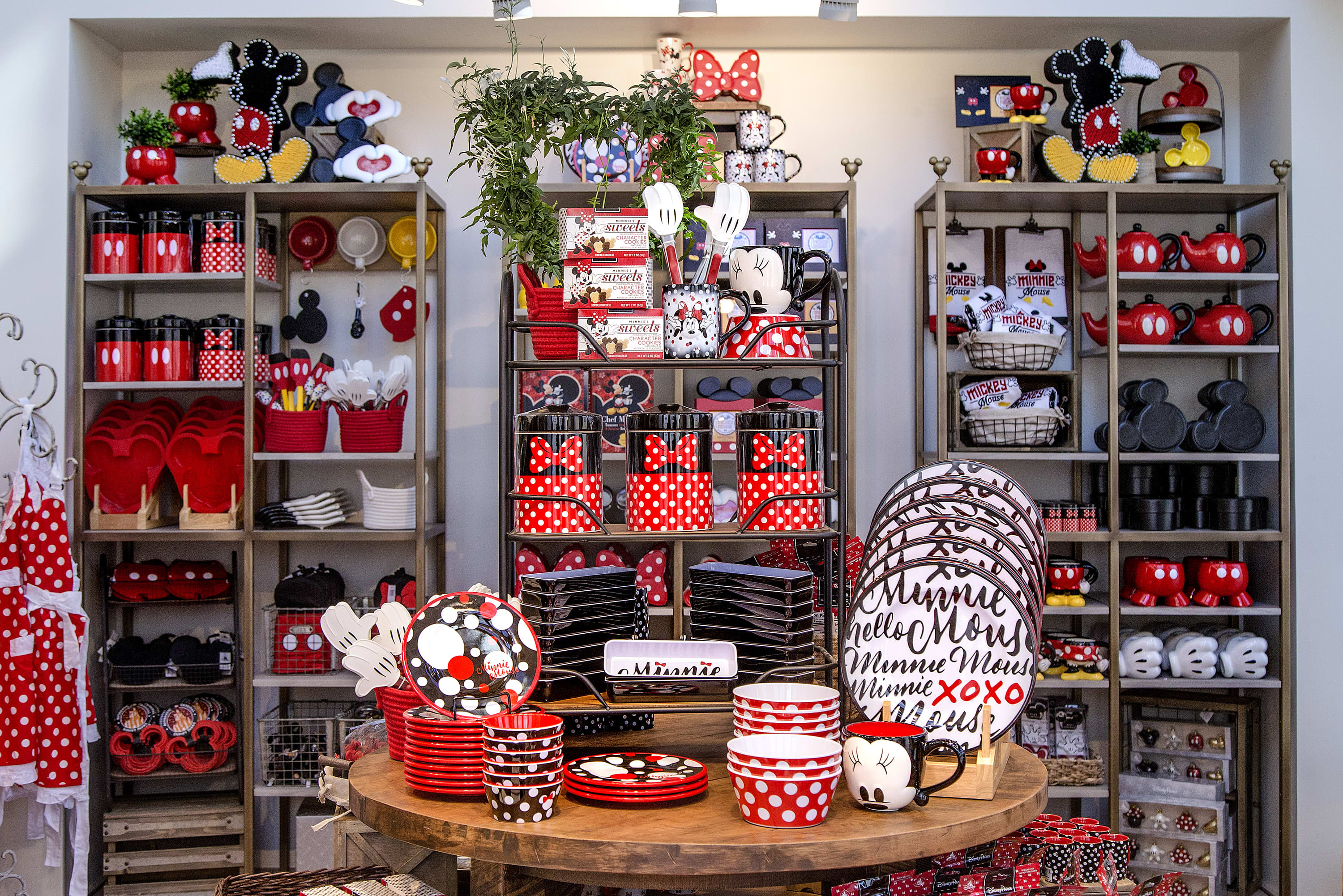 New Disneyland Store - Home Decor, Cookware