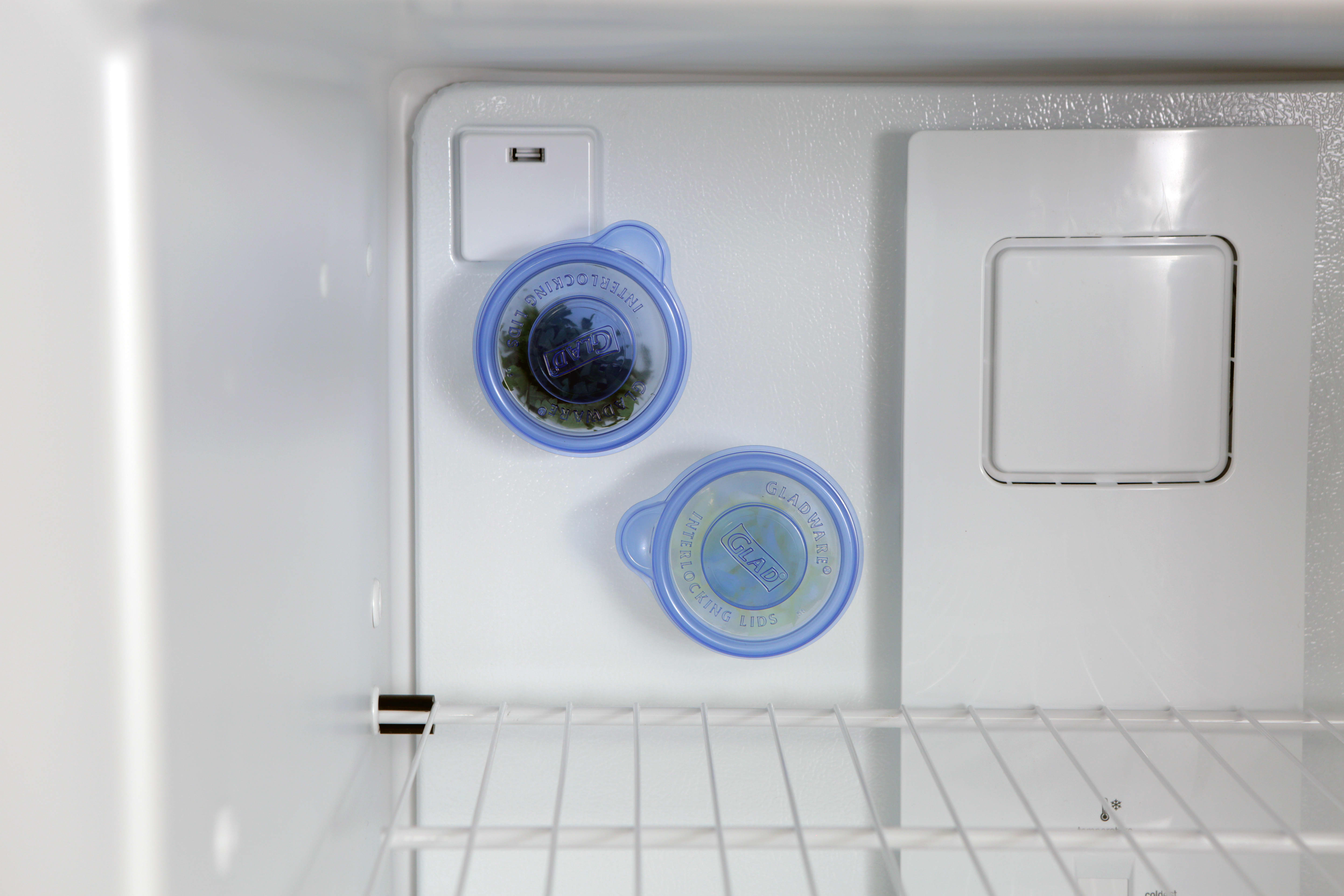 How to Organize your Freezer - Blue Silo