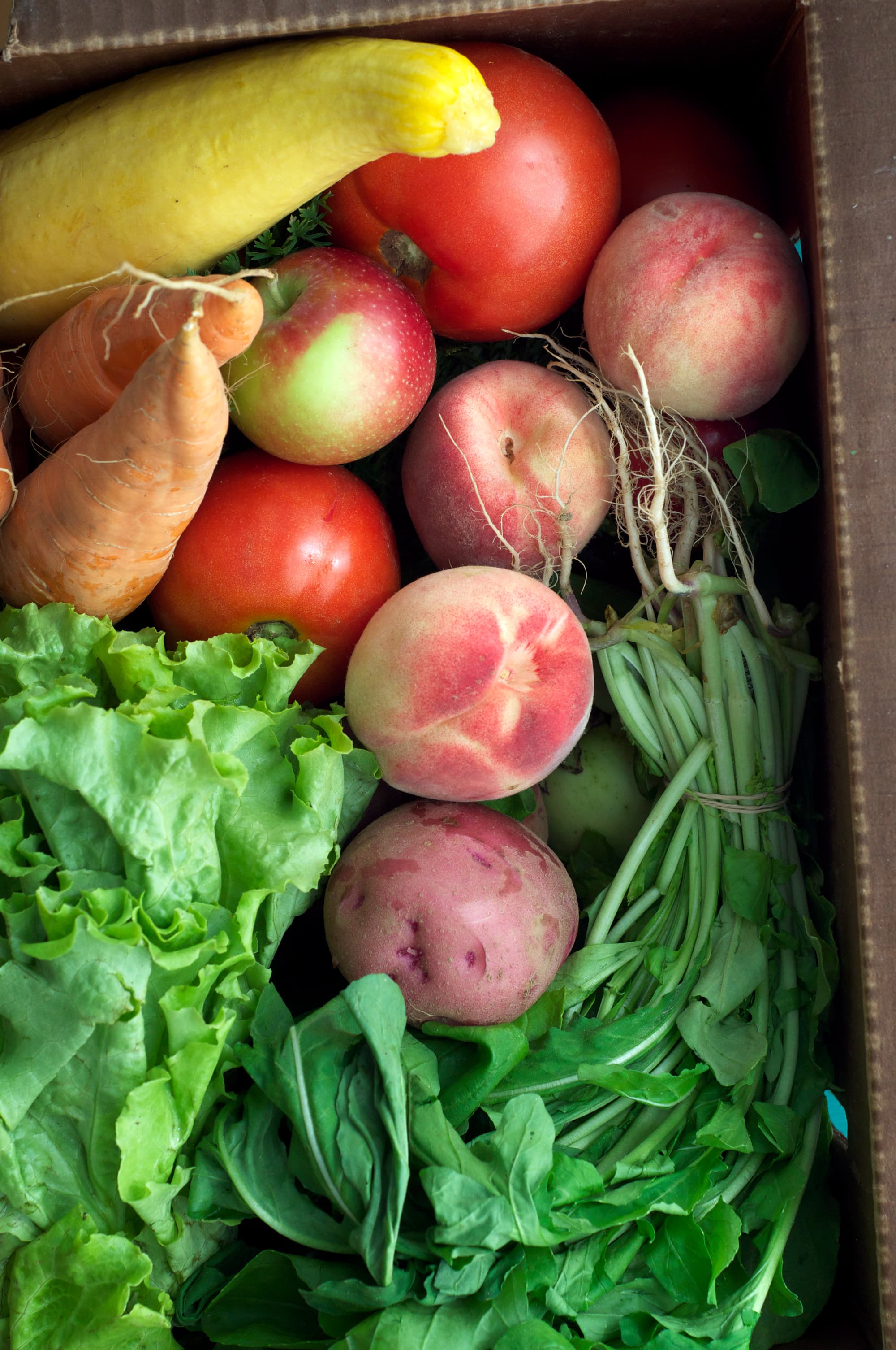 Storing Fruits and Vegetables