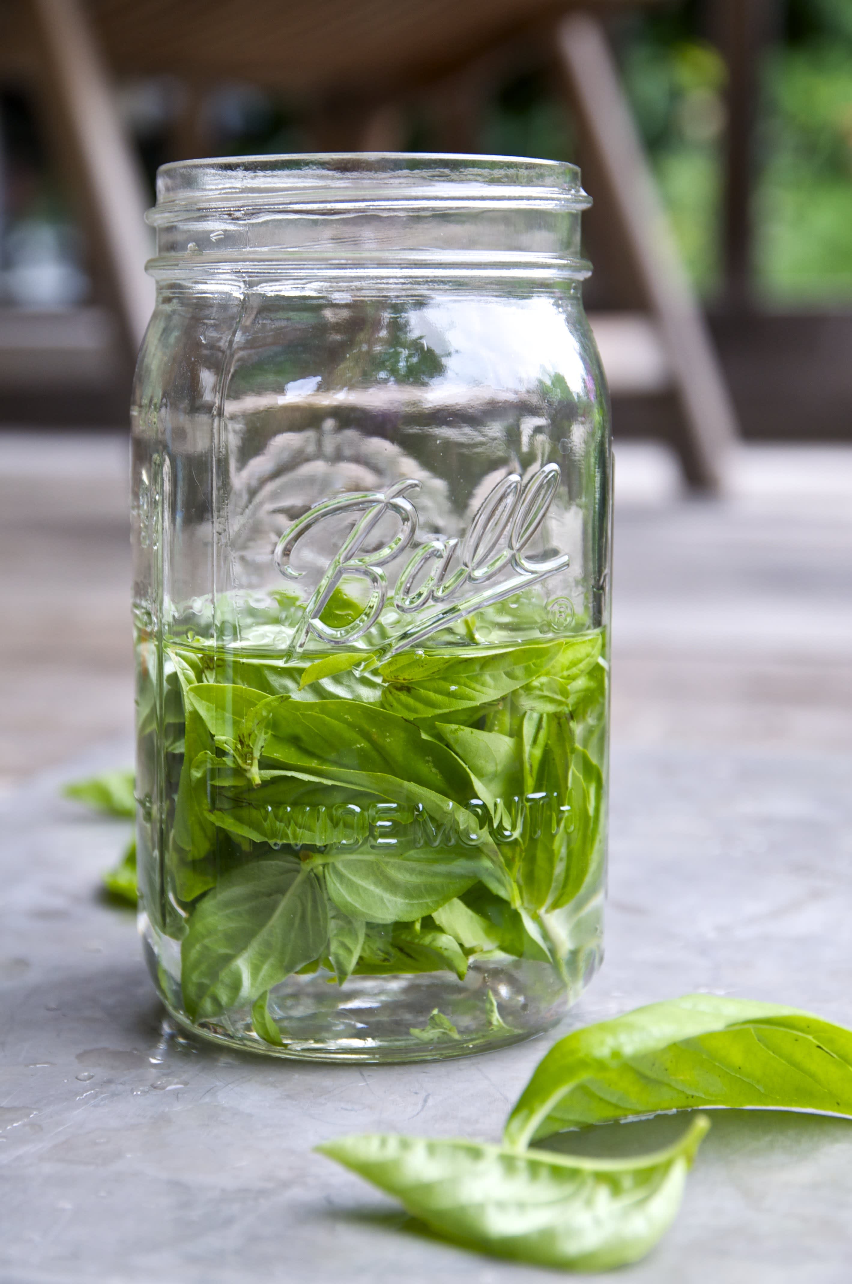 The Best Ways to Preserve Basil The Kitchn