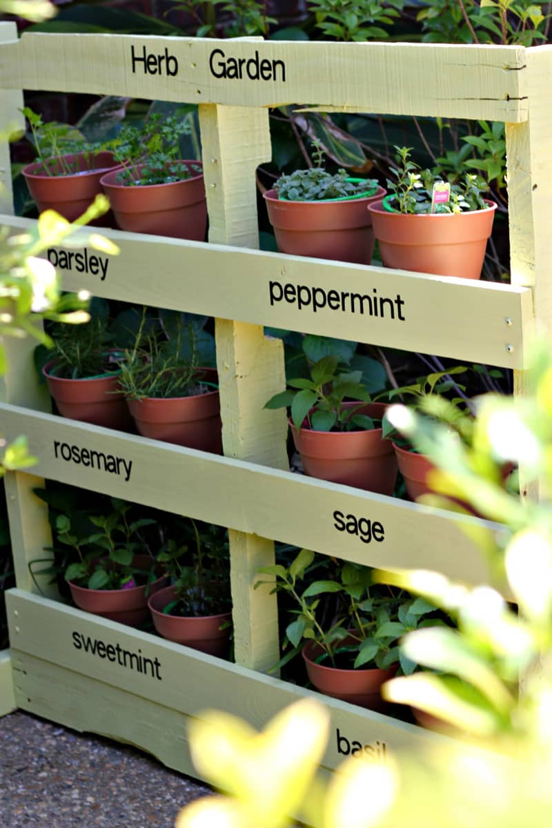 What You Should Know About Pallet Gardening Kitchn