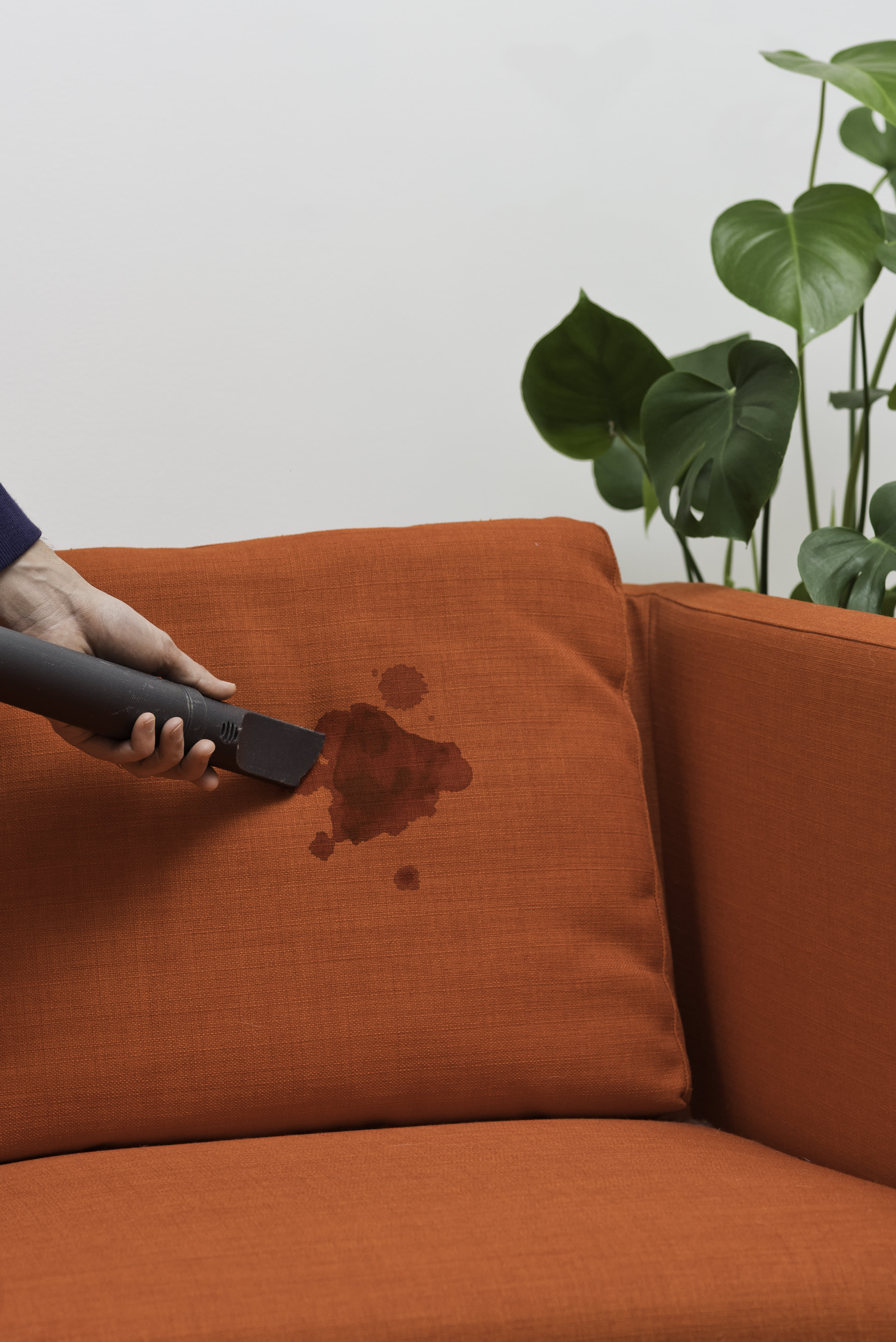 Upholstery Cleaning - How to Remove Blood Stains From Your Sofa