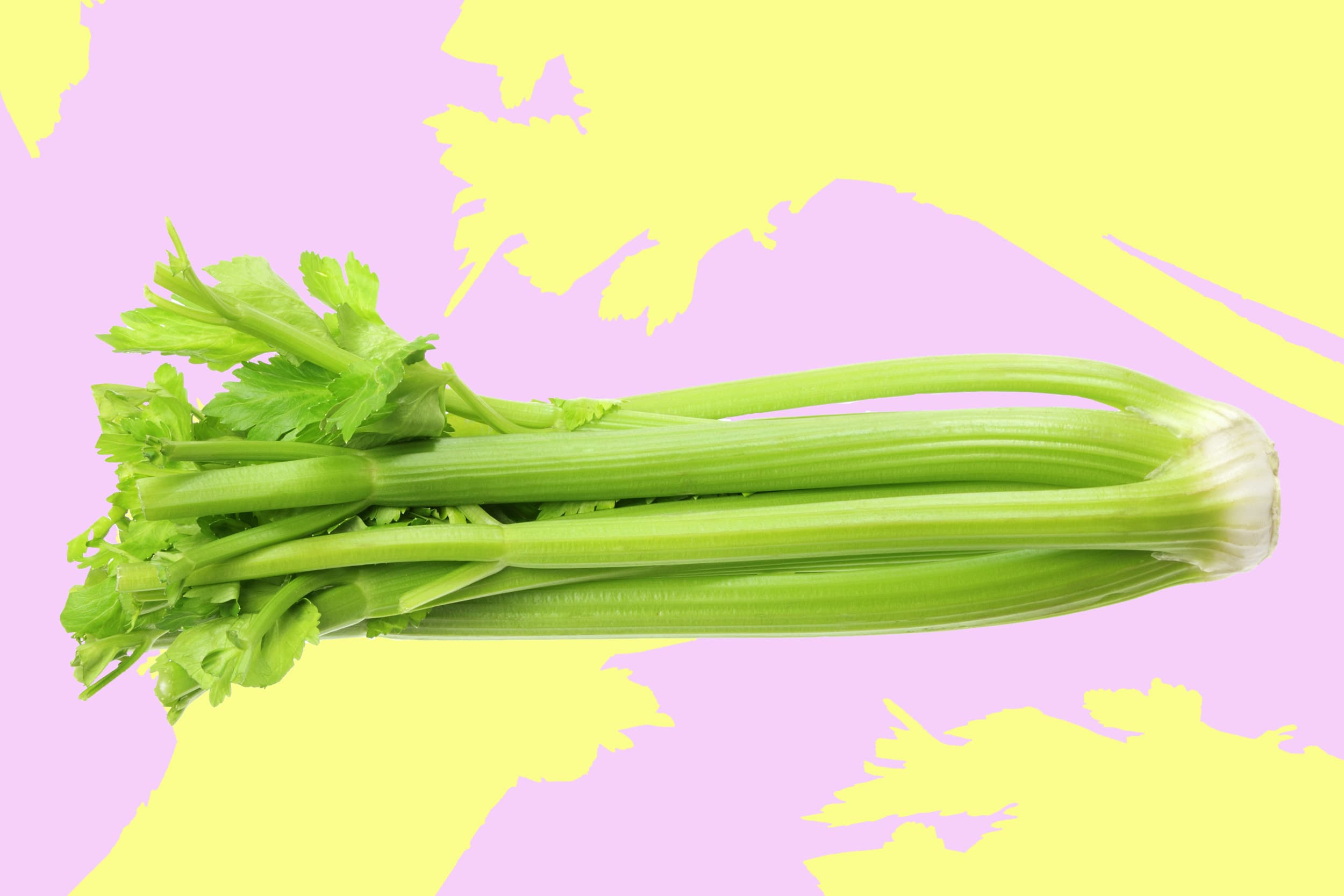 Curling Ribbon - Celery