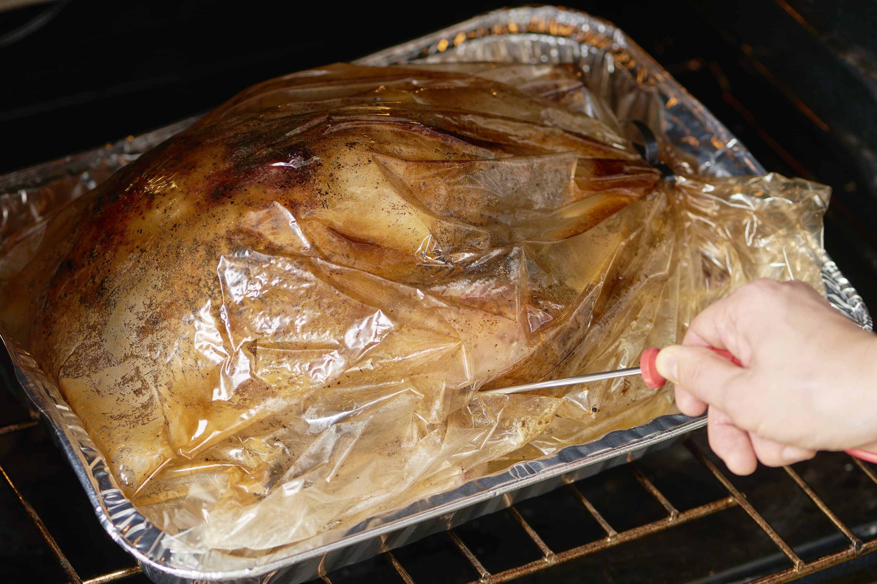 How to Cook a Turkey in an OvenSafe Bag  Thanksgiving HowTos   StepbyStep Turkey Desserts  Side Dishes  Food Network  Food Network