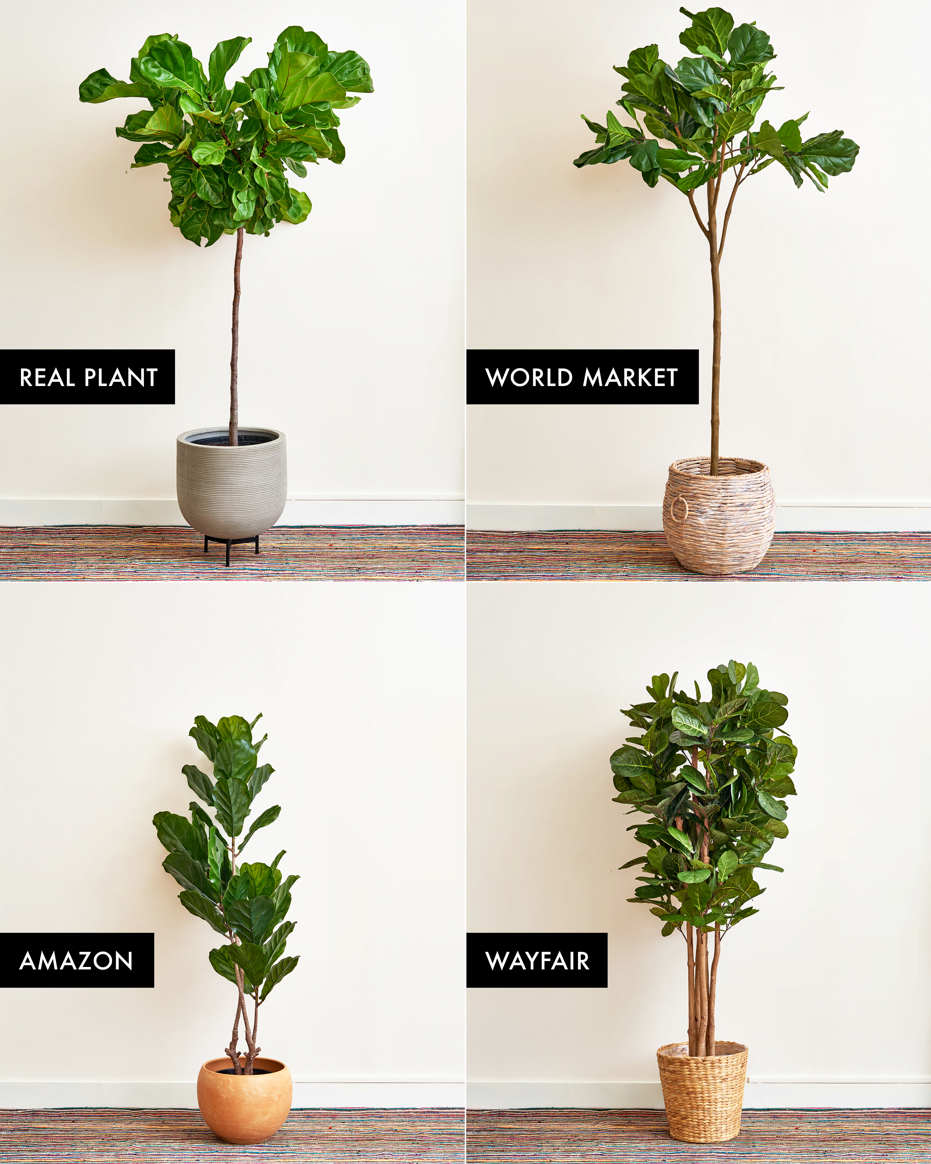 The Best Faux Fiddle Leaf Fig Tree | Apartment Therapy