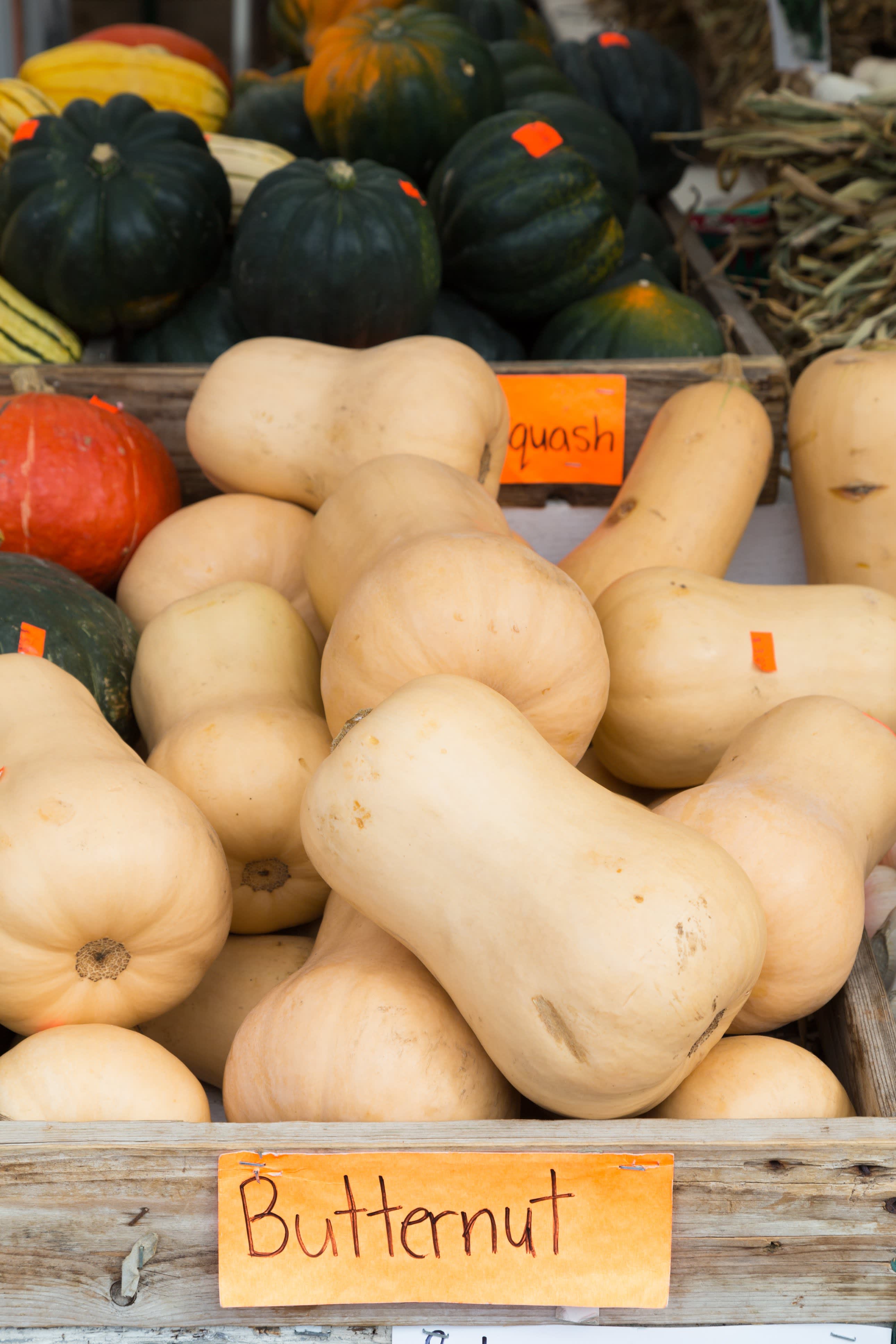 Selecting and Prepping Butternut Squash