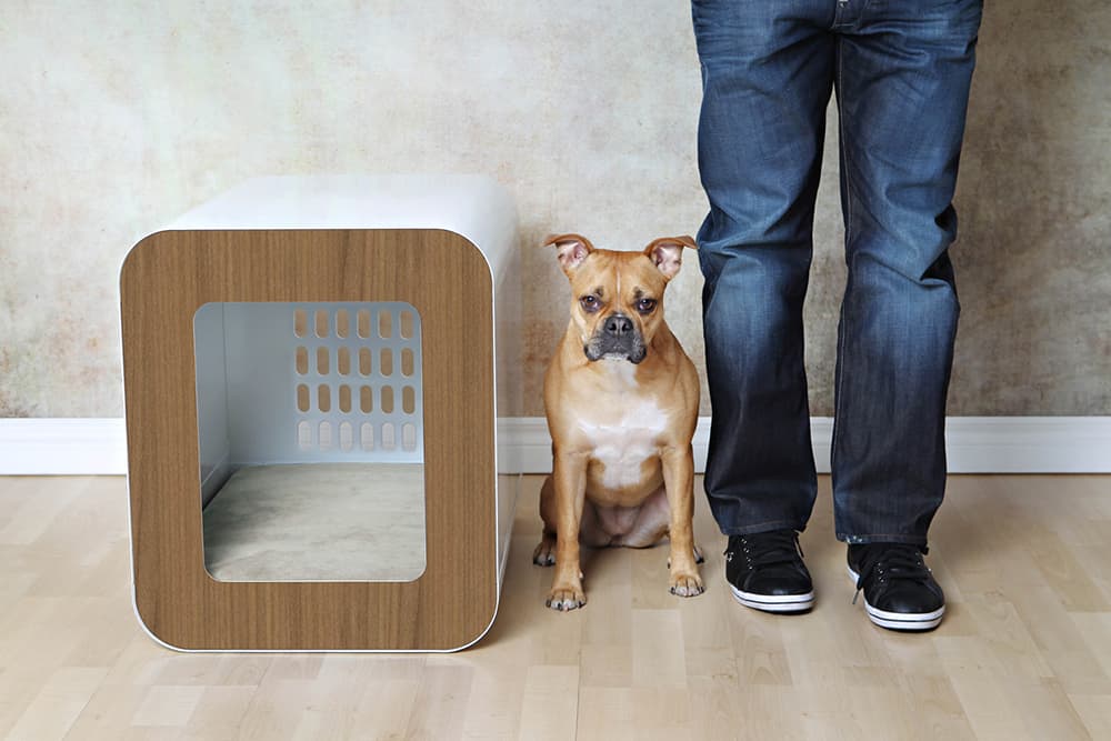 Mimu Raised Dog Bowl Stand with Dog Food Storage Cabinet - Black Dog Feeder Station with Storage - Cat Feeding Station Furniture - Pet Feeder