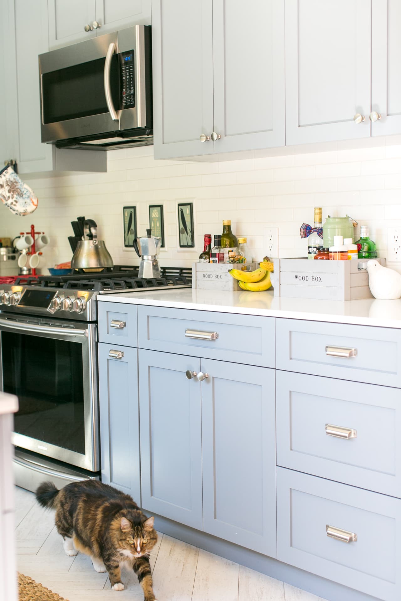 Follow Along in This Step-By-Step Splurge vs Save Kitchen Renovation - Haven