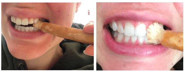 miswak for teeth