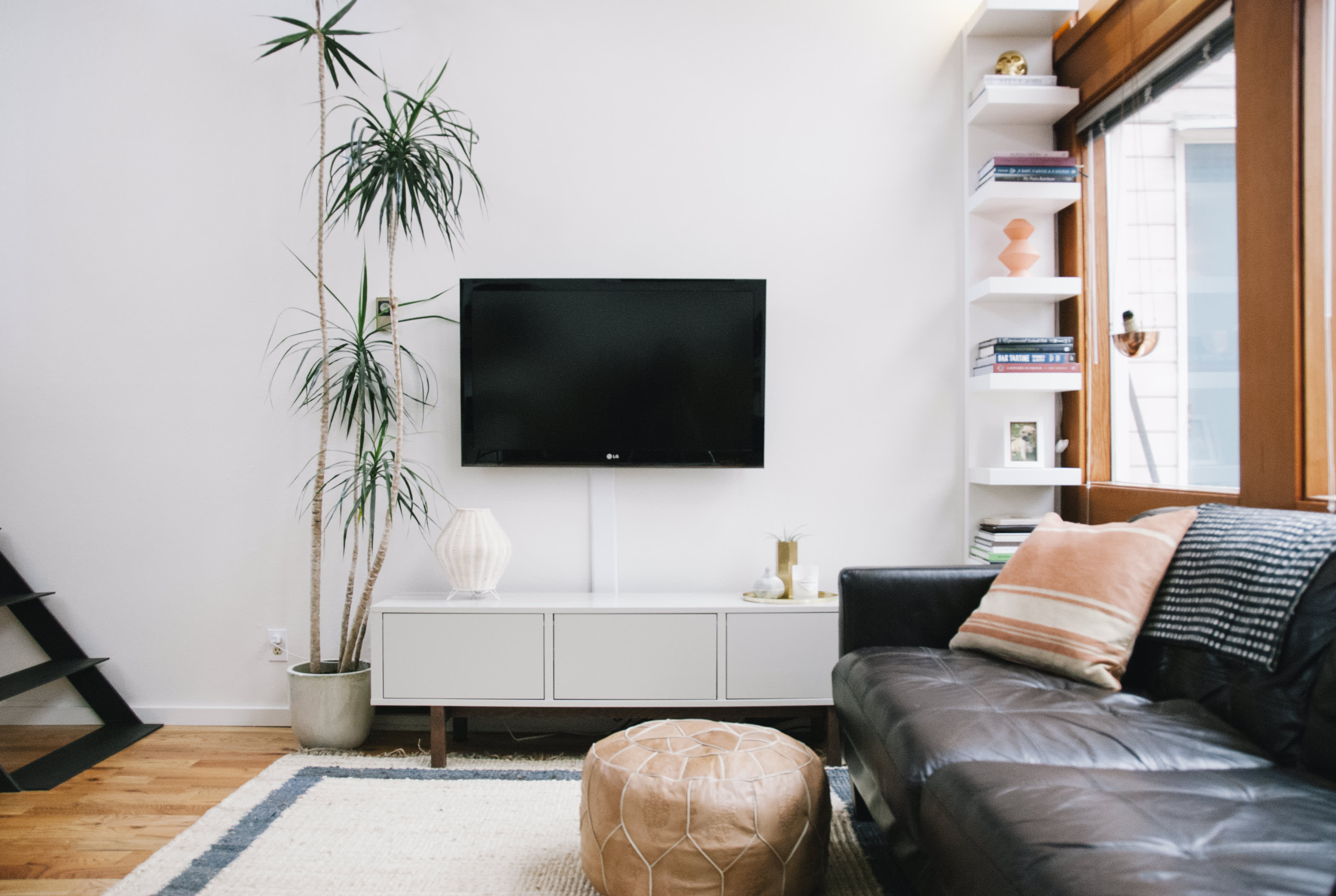 Dracaena Plant Care - How to Grow Dracaena Plants | Apartment Therapy